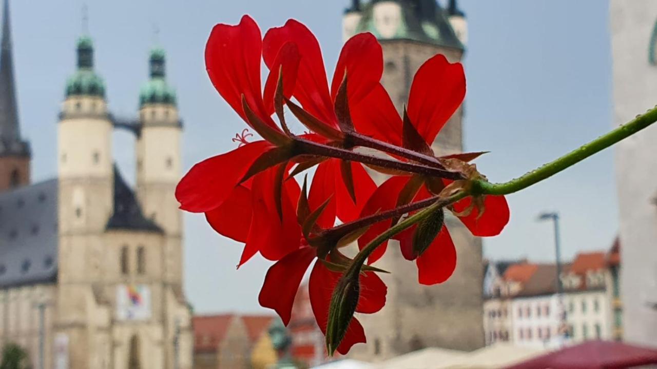 Budget Rooms In Halle With Shared Bathroom, Free Wifi, Netflix & Ipad Exterior foto